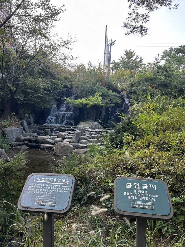 【韓国 ソウル】公園の中にある絶景の韓屋カフェ🌳