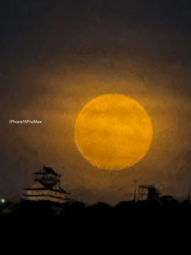 誰も教えてくれない「岐阜城と月」撮影ポイント📸最後はiPhone撮影チャレンジ📱🏯🌕フォロ待ってます