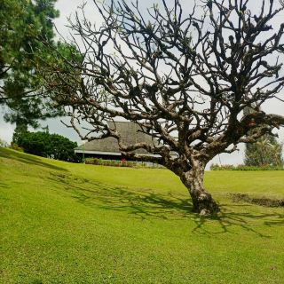 Bukit Kubu