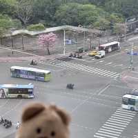 台北北門世民酒店 自助式Checkin的舒適入住體驗✨