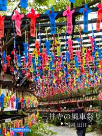 【福岡 田川】色とりどりの風車が飾られる風車祭り🫧