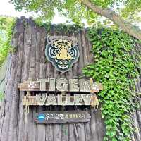 Arghhhh Autumn Tiger Valley in Everland 