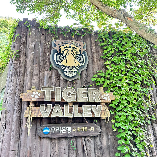 Arghhhh Autumn Tiger Valley in Everland 