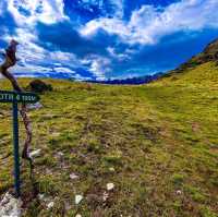 Rotorua – A Journey into Māori Culture and Geothermal Marvels