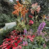 Nature's Palette: Discovering the Latest Blooms at Gardens by the Bay