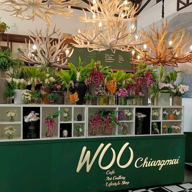 Woo Cafe Art Gallery Lifestyle Shop