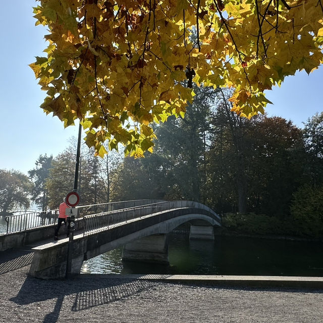 楚格湖畔的美麗公園