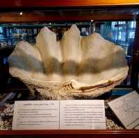 泰國曼谷朱拉隆功大学自然历史博物館，親子博物館遊覽好去處