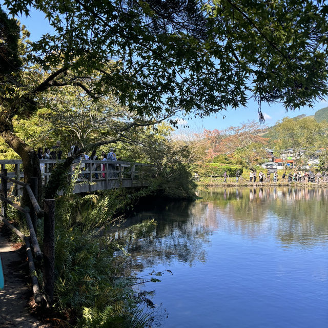 秋の九州大自然満喫プラン🍂