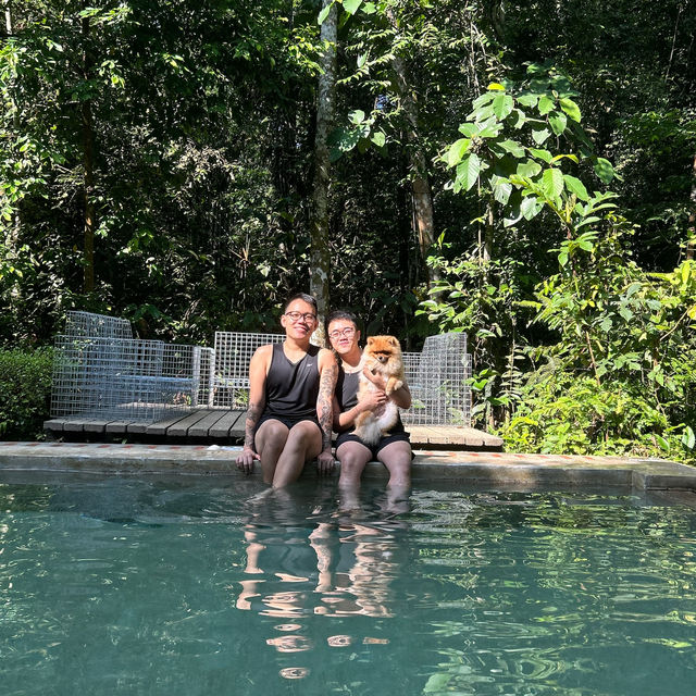 🌿❤️ A Romantic Escape at Sekeping Serendah ❤️🌿