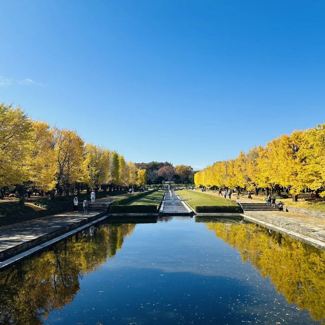 景點推薦：昭和記念公園——秋天的黃葉與自然美景