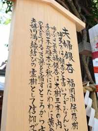 人氣景點 歷史悠久的櫛田神社⛩️