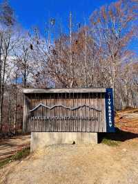 【長野白馬】白馬岩岳マウンテンリゾート✨
