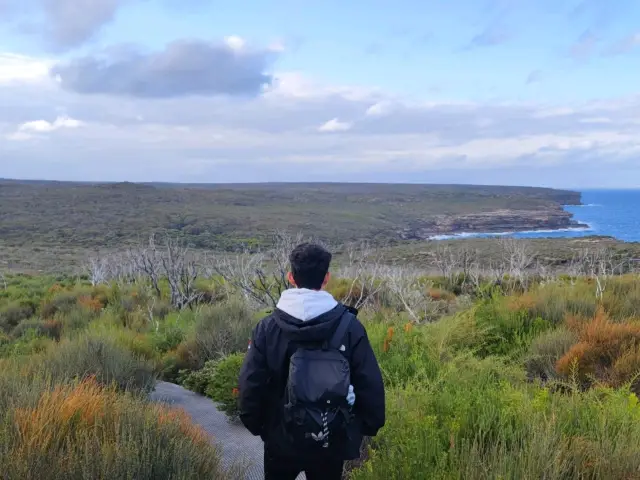 雪梨皇家國家公園海岸步道健行