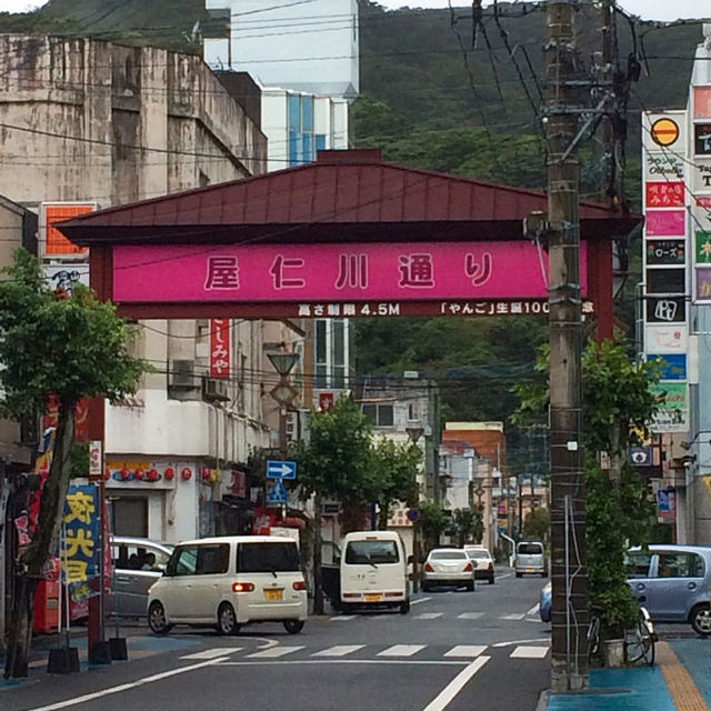 【奄美大島】「アバス」(ハリセンボン)が食べられる居酒屋✨