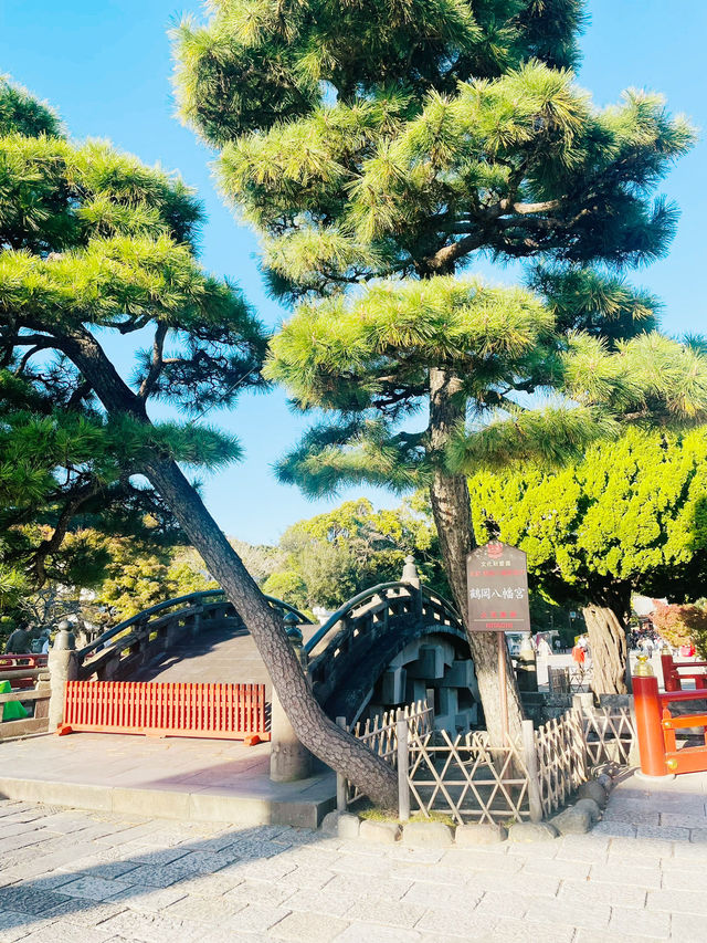 【神奈川県/鎌倉　生命力を感じる”大銀杏”の紅葉が美しい『鶴岡八幡宮』】
