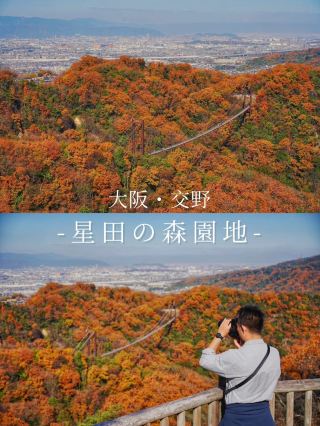 สถานที่ท่องเที่ยวแนะนำ: สวนโฮชิดะ - ความลับของป่าไม้ในช่วงฤดูใบไม้แดง