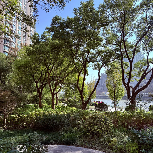 Mengqing Garden A Green Oasis Along Suzhou Creek