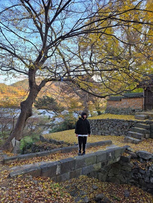 조용하게 힐링하기좋은 밀양 월연정🍁