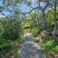 Exploring the Historic Inner Middle Head Battery
