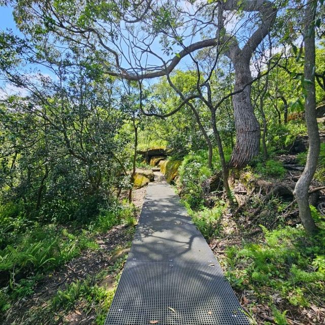 Exploring the Historic Inner Middle Head Battery
