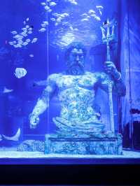 Zhengjia Polar Ocean Worldอควาเรียมสุดอลังกวางโจว