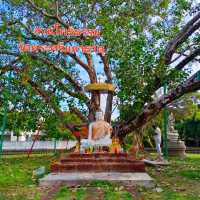 สวนโพธิธรรม วัดพระศรีมหาธาตุ