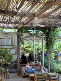 Alchemy Bali: Where Plant-Based Magic Meets Culinary Delight