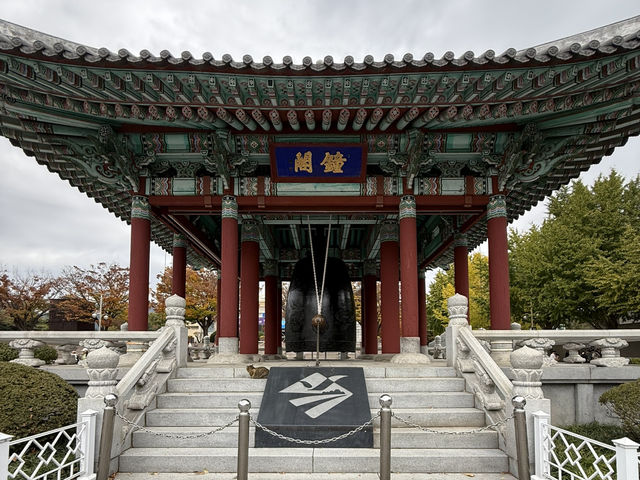 富山の景色を一望