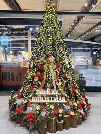 阿蘇くまもと空港クリスマス2024