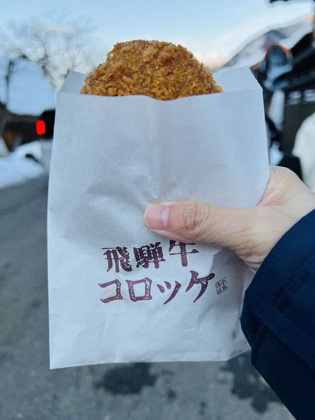 ［日本北陸旅行］白川鄉合掌村-一生必來一次🛖🌨️