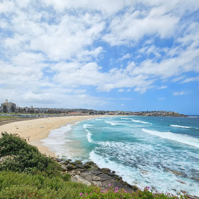 Bondi 🏝️ Sydney