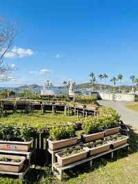 【熊本県:天草】天草四郎の歴史が学べるミュージアム
