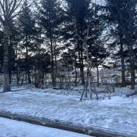 Winter Adventures from Suifenhe to Vladivostok