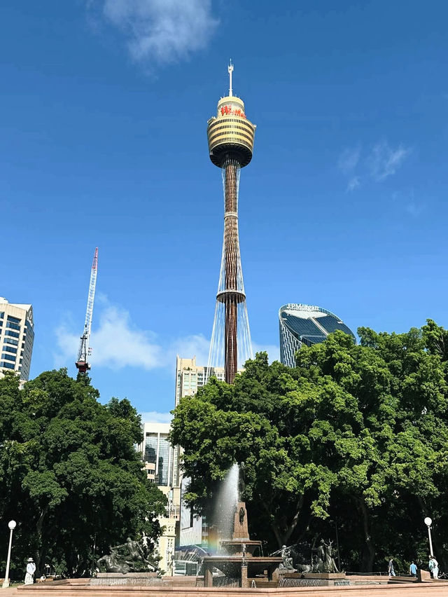 A trip to Sydney Tower Eye