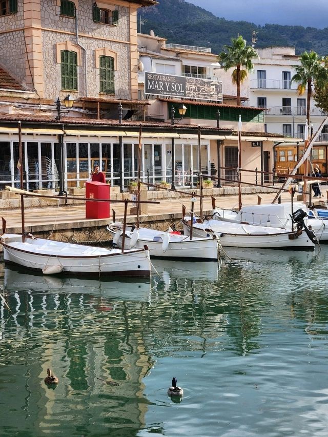 🧡마요르카 여행 중 힐링했던 "소예르항구(Port de Sóller)"🧡