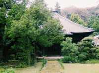 鎌倉🇯🇵壽福寺