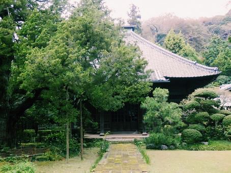 鎌倉🇯🇵壽福寺