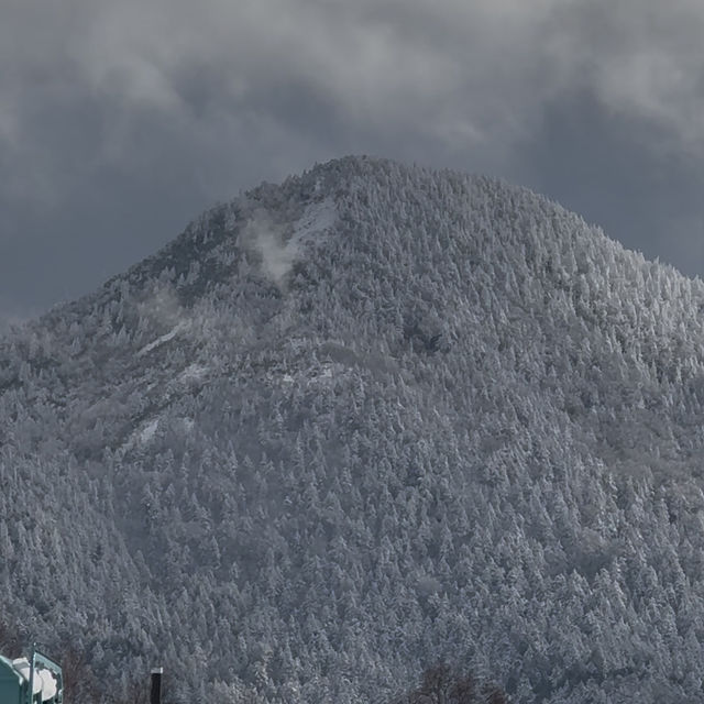 Winter Ski in Shiga Kogen Japan