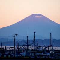 【冬の鎌倉】一日観光 江ノ島からは富士山