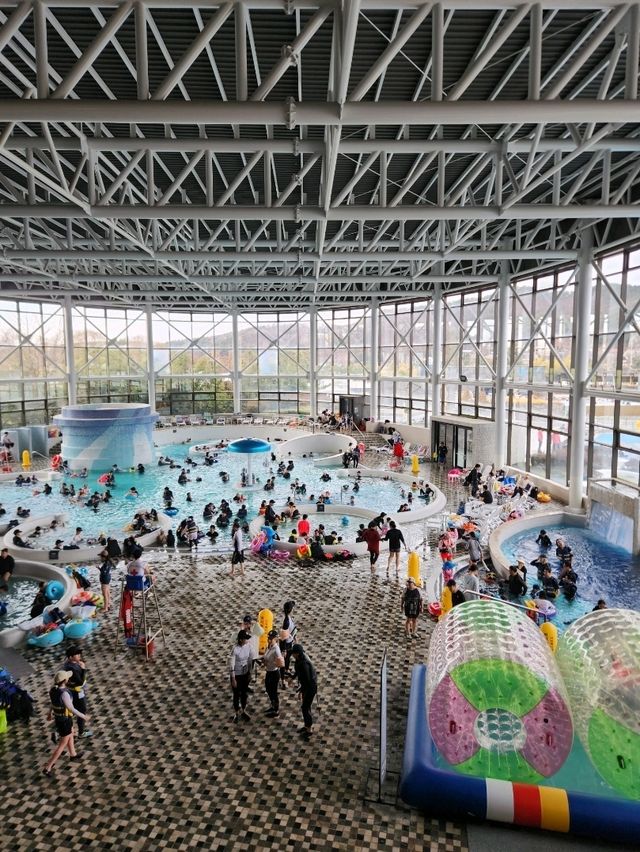🧡충남 아산 겨울여행 코스로 추천하는, "파라다이스 스파도고"🧡