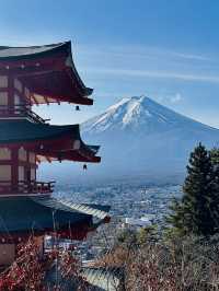 【山梨県】世界的に有名な富士山絶景スポット‼️