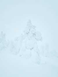 【青森】日本三大樹氷『八甲田山』