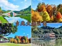 台北大湖公園-碧綠的湖水、豐富的生態環境、四周綠意盎然