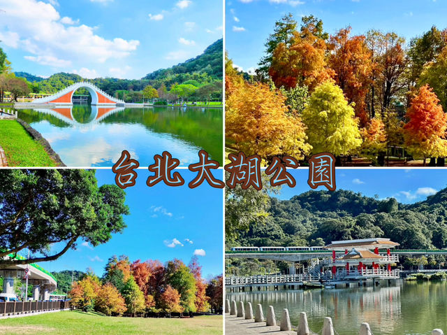 台北大湖公園-碧綠的湖水、豐富的生態環境、四周綠意盎然