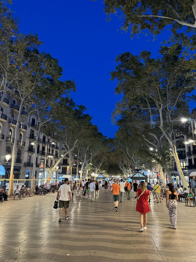 🇪🇸바르셀로나만 3번째인 여행자가 추천하는 바르셀로나 여행🇪🇸 