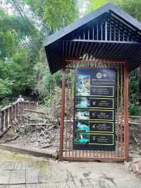 Nature’s Paradise: A Weekend Getaway to Erawan National Park, Thailand