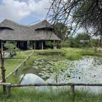 Nguuni Wildlife Sanctuary, Kenya 🇰🇪
