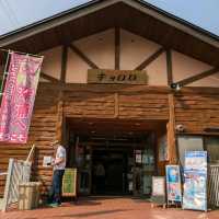 【青森県】十二湖〜神秘の青と自然〜
