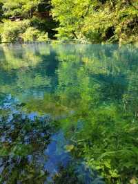 【白龍湖の普段はみれない景色】